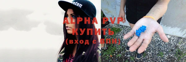 гидра Новокубанск