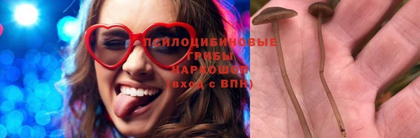 гидра Новокубанск