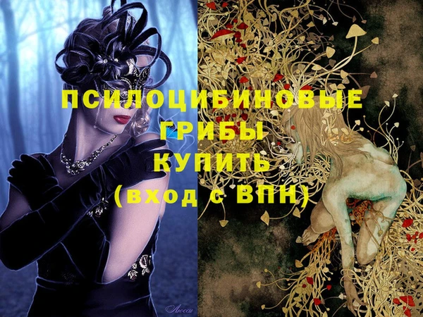 бутират Новозыбков