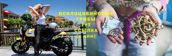 синтетический гашиш Новодвинск