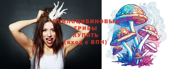 гидра Новокубанск
