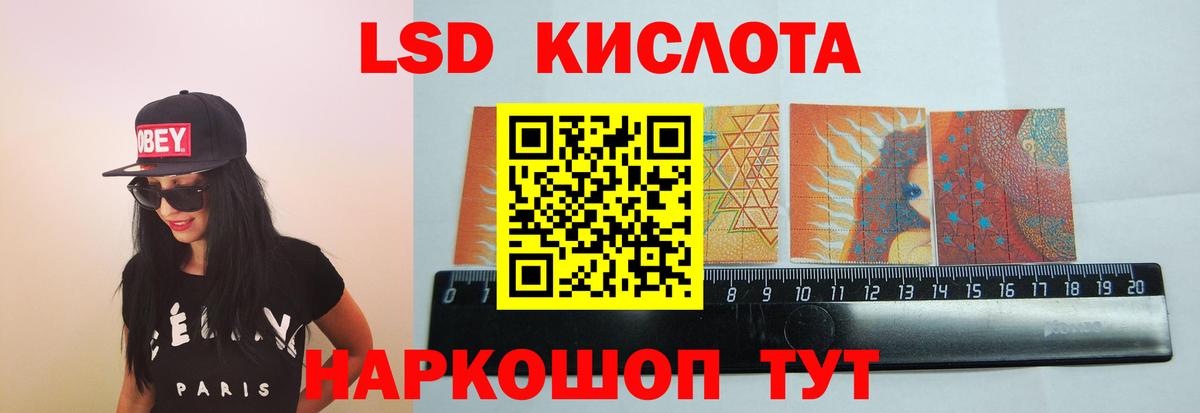  COCAIN Петровск