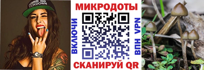 Галлюциногенные грибы ЛСД  Петровск 