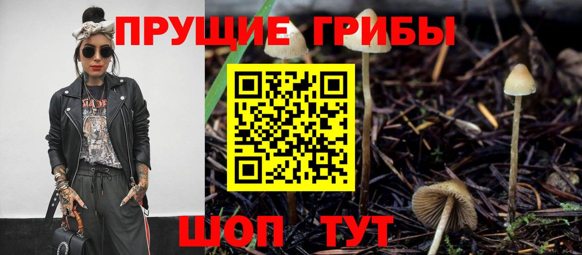 Галлюциногенные грибы Psilocybe  Вход с VPN  Петровск 