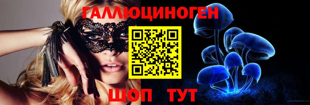 Галлюциногенные грибы Magic Shrooms Петровск