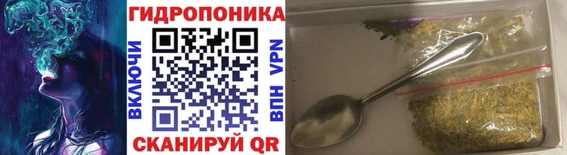 Бошки марихуана ГИДРОПОН  где продают наркотики  Петровск 
